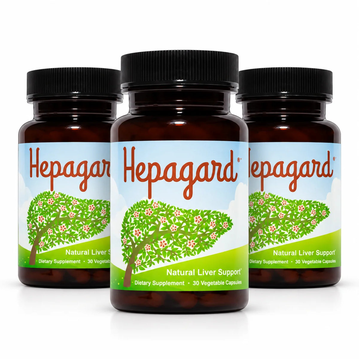 Hepagard Natural Liver Support Supplement