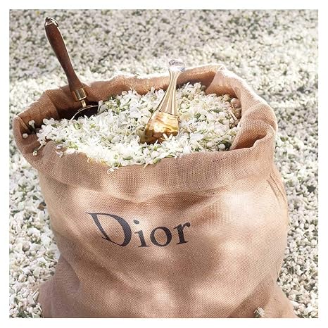 Dior J'adore Eau de Parfum 3.4 Oz