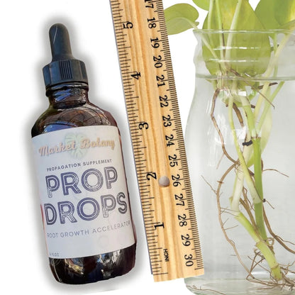 Market Botany Prop Drops Root Growth Accelerator 4 oz