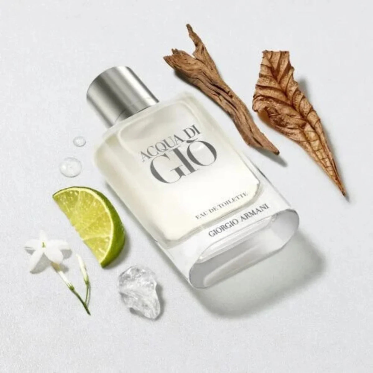 Giorgio Armani Acqua di Giò Eau de Toilette for Men 100ml (3.4 oz)