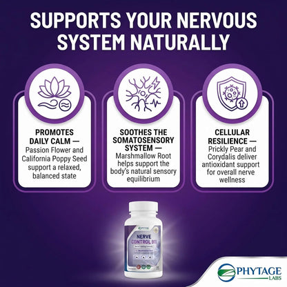 PhytAge Labs Nerve Control 911 All-Natural Plant-Based Nerve Health Support – Pack of 4