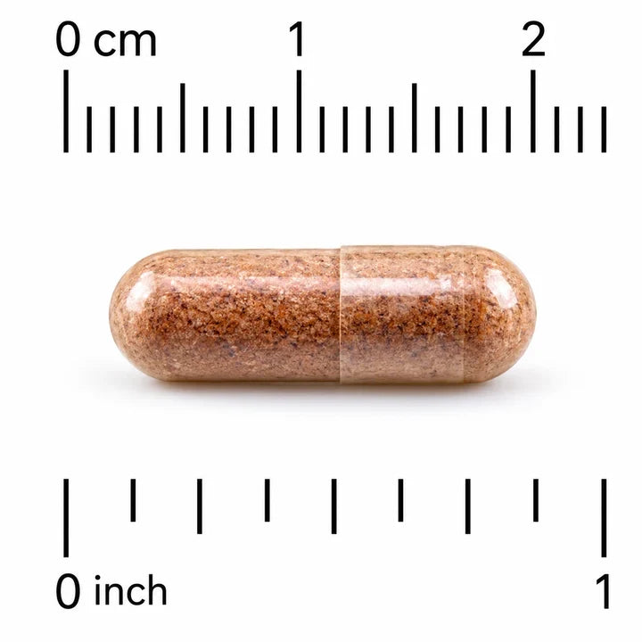 AHCC Immune Support 60 Vegicaps ( Pack of 4 )