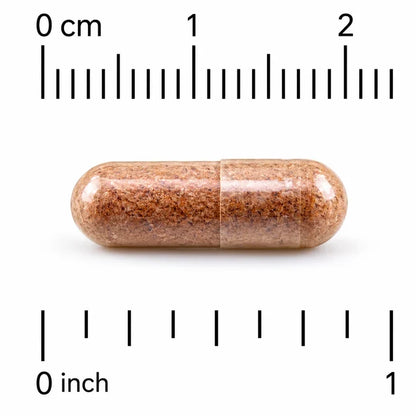 AHCC Immune Support 60 Vegicaps ( Pack of 5 )