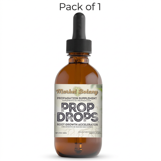 Pack of 1